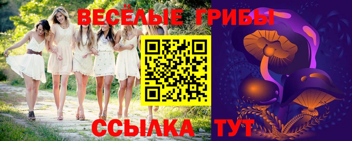 Псилоцибиновые грибы ЛСД  цены наркотик  Псилоцибиновые грибы Magic Shrooms  Менделеевск  Вход с VPN 